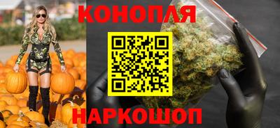 Альфа ПВП Лесосибирск